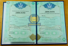 Техникум 2009-2026